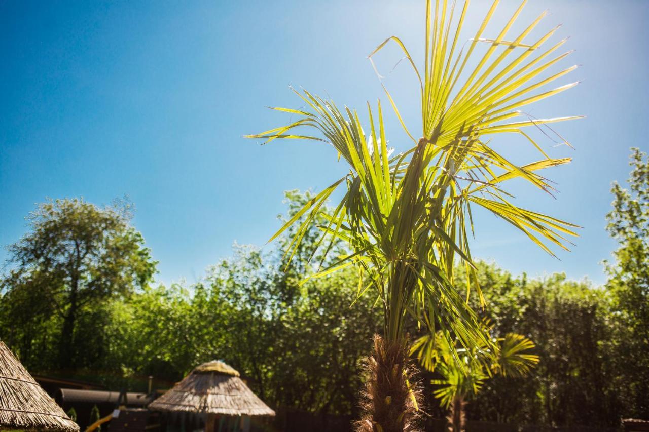Aloha Glamp - Okragle Domki Przy Rzece - Balia I Sauna - Energylandia Zagornik ภายนอก รูปภาพ